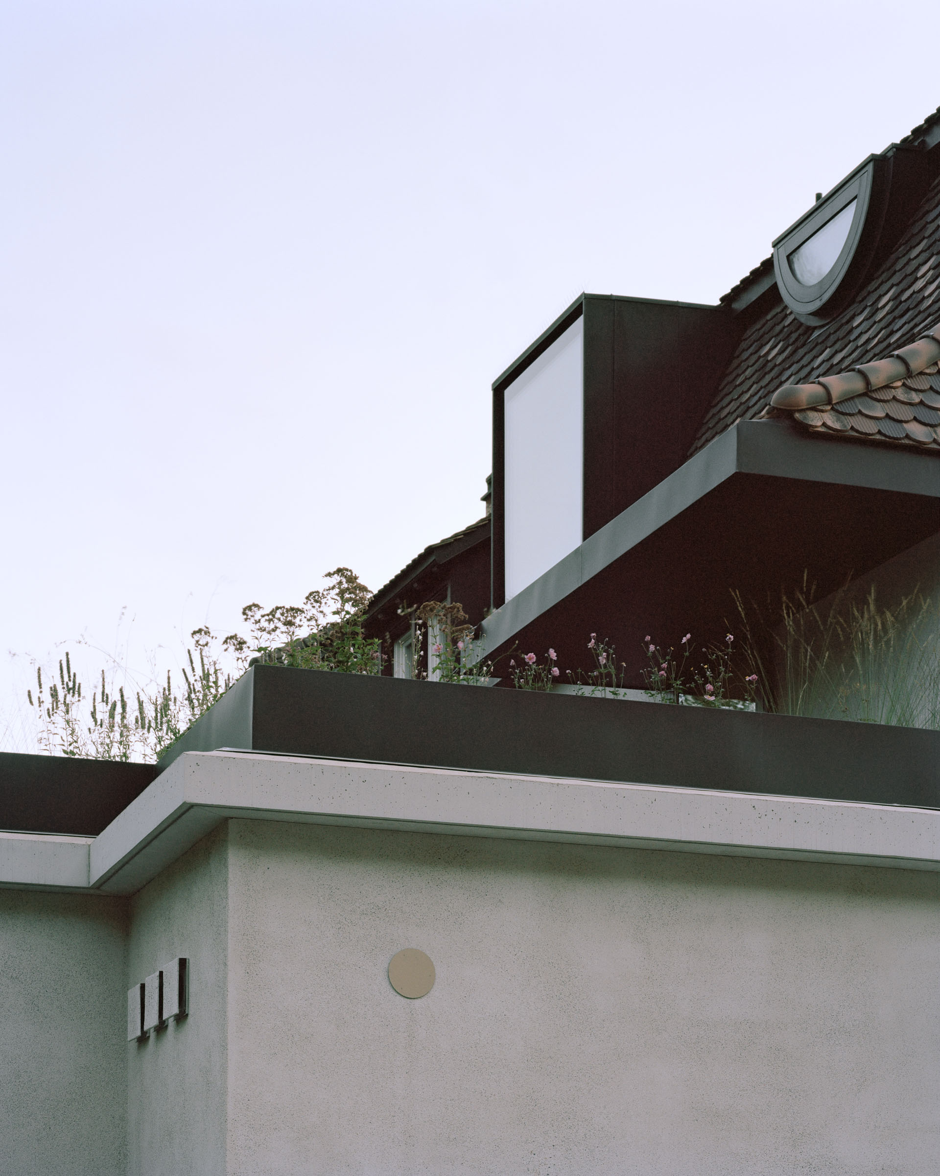 Analog architectural photography and documentation of the exterior of the single‑family house renovation on Kluserstrasse in Basel, Switzerland, designed by Hörner Oprea & KL‑AR. Photographed by Piotr Hraptovich, architectural photographer based in Basel, Switzerland. Analoge Architekturfotografie und Dokumentation der Aussensicht der Sanierung des Einfamilienhauses an der Kluserstrasse in Basel, Schweiz, entworfen von Hörner Oprea & KL‑AR. Fotografiert von Piotr Hraptovich, Architekturfotograf mit Sitz in Basel, Schweiz. 