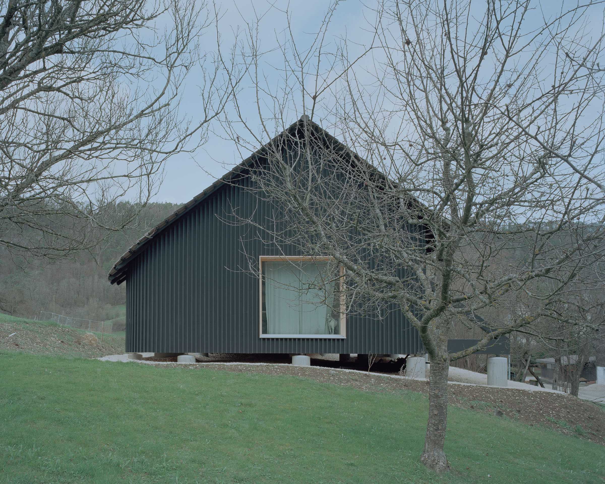 Analog architectural photography and documentation of the exterior of a single-family house in Vermes, Switzerland, designed by Hörner Oprea. Photographed by Piotr Hraptovich, architectural photographer based in Basel, Switzerland. Analoge Architekturfotografie und Dokumentation der Aussensicht eines Einfamilienhauses in Vermes, Schweiz, entworfen von Hörner Oprea. Fotografiert von Piotr Hraptovich, Architekturfotograf mit Sitz in Basel, Schweiz. 